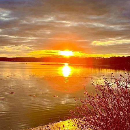 Edgewater Sunrise Apartment Chemainus Buitenkant foto