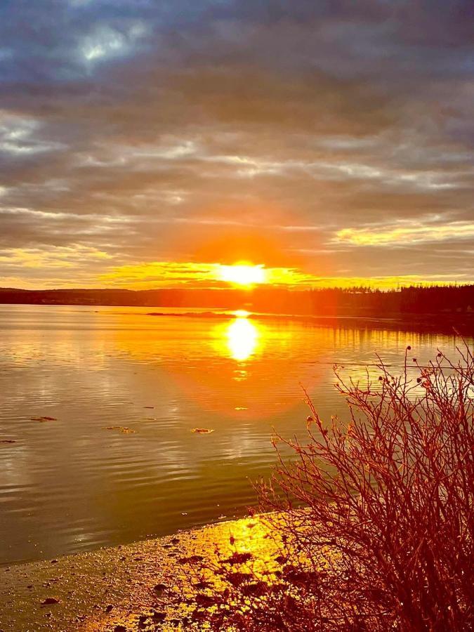 Edgewater Sunrise Apartment Chemainus Buitenkant foto